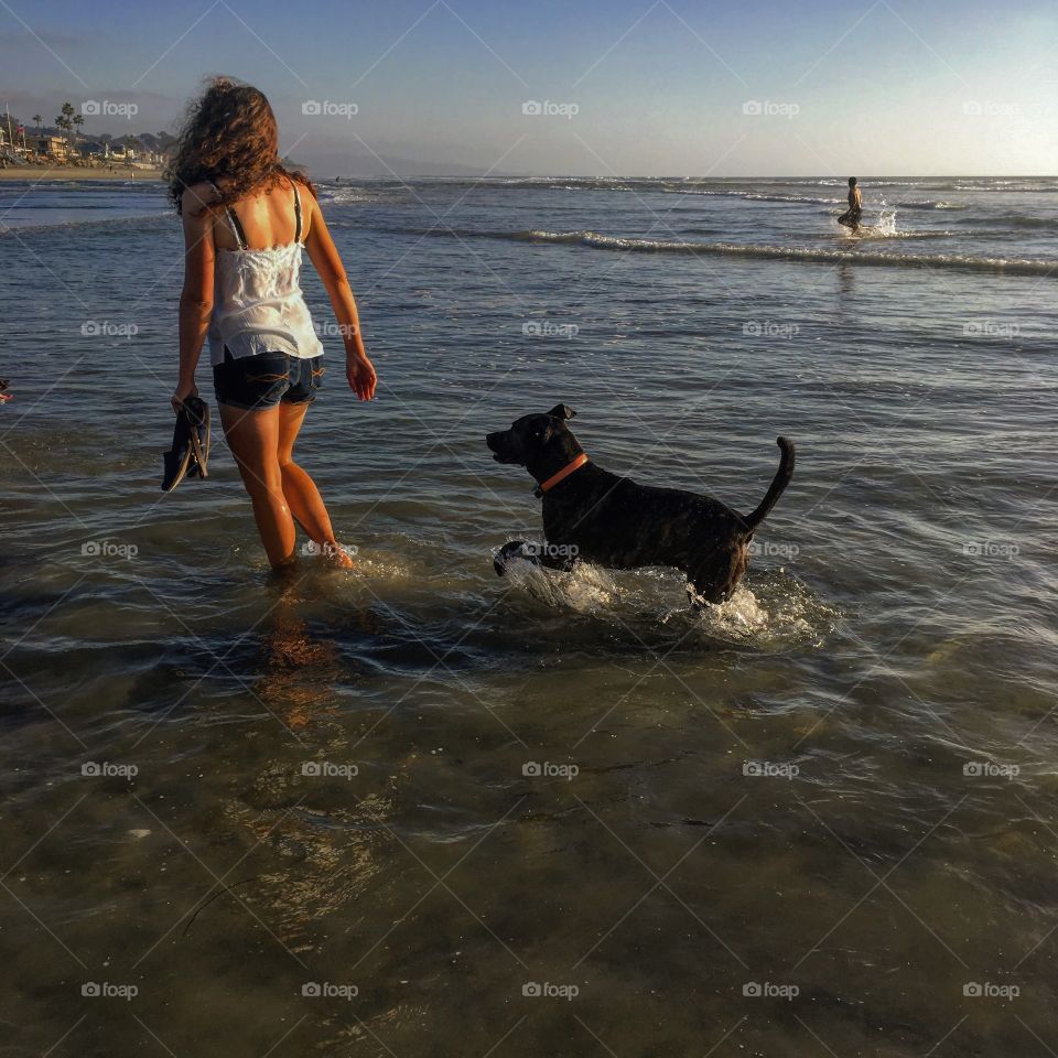 dog playing in the water 
Delmar beach CA USA