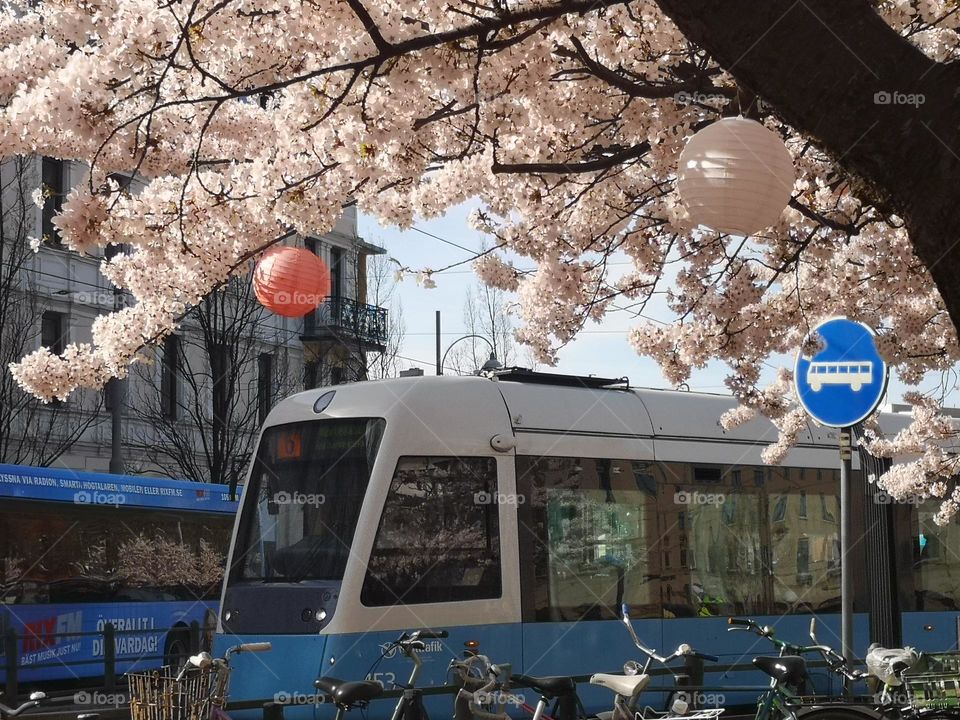 Beautiful day of spring in Gothenburg city /Sweden