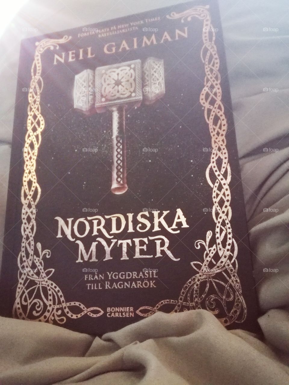 The book Nordic myths by Neil Gaima