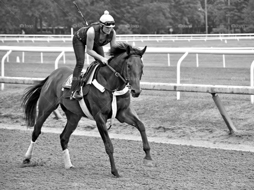 Saratoga Workouts. This female exercise rider is galloping this Nick Zito racehorse in the Oklahoma training track at Saratoga. 
Fleetphoto