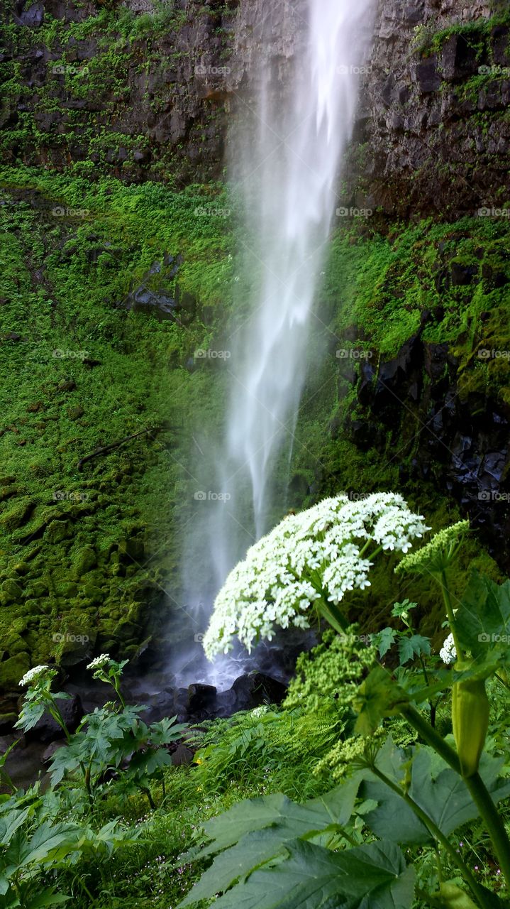 Water in Motion