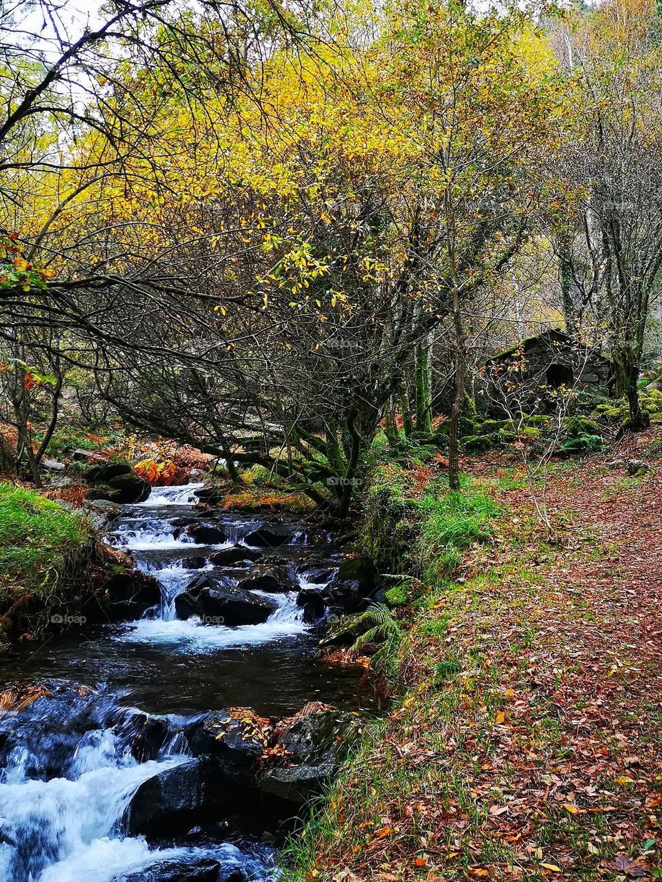 Autumn/Fall in Portugal