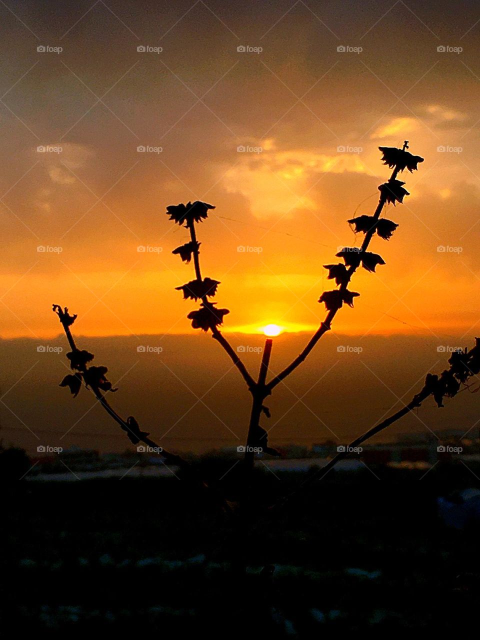 Kind of Art or what 😅