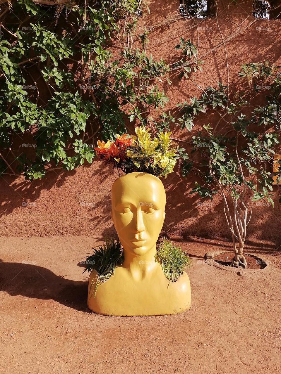 Agadir park, Morocco