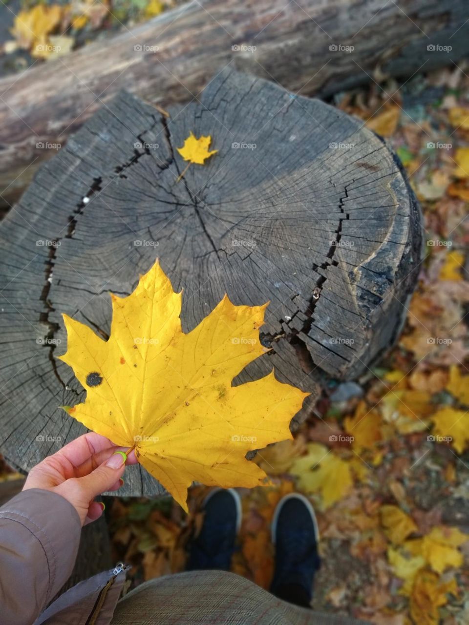 girl holding a yellow leaf