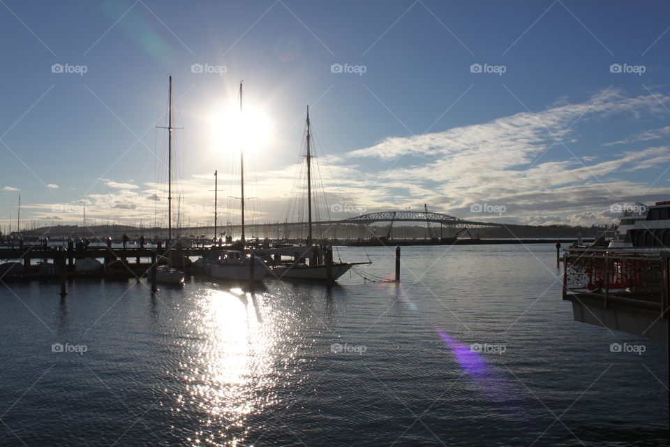 Auckland Bridge 