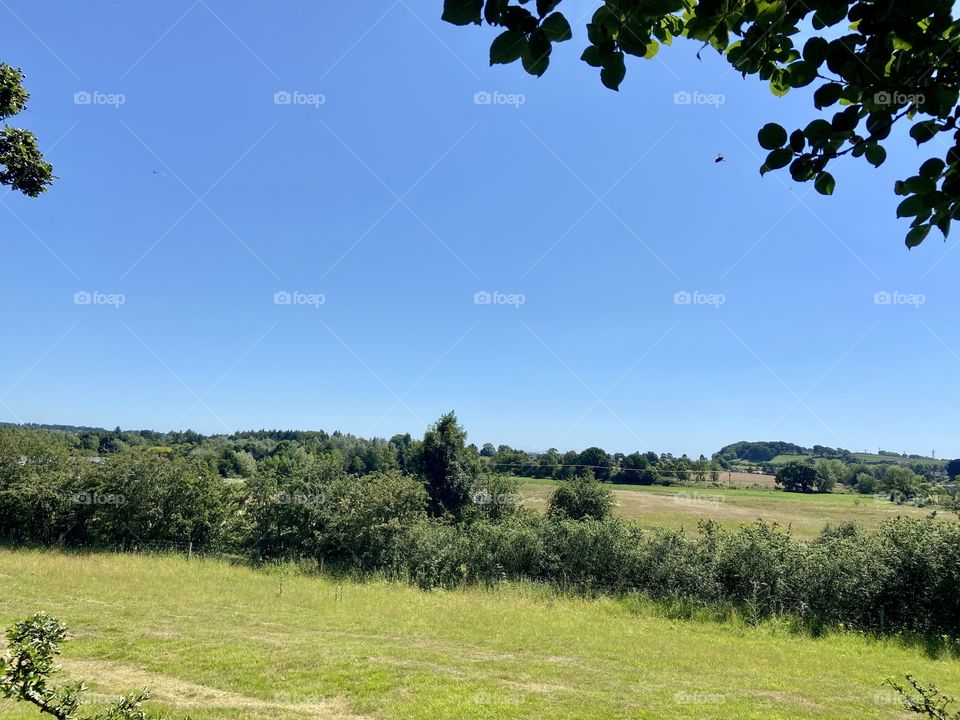 A wee wander at lunch time ❤️