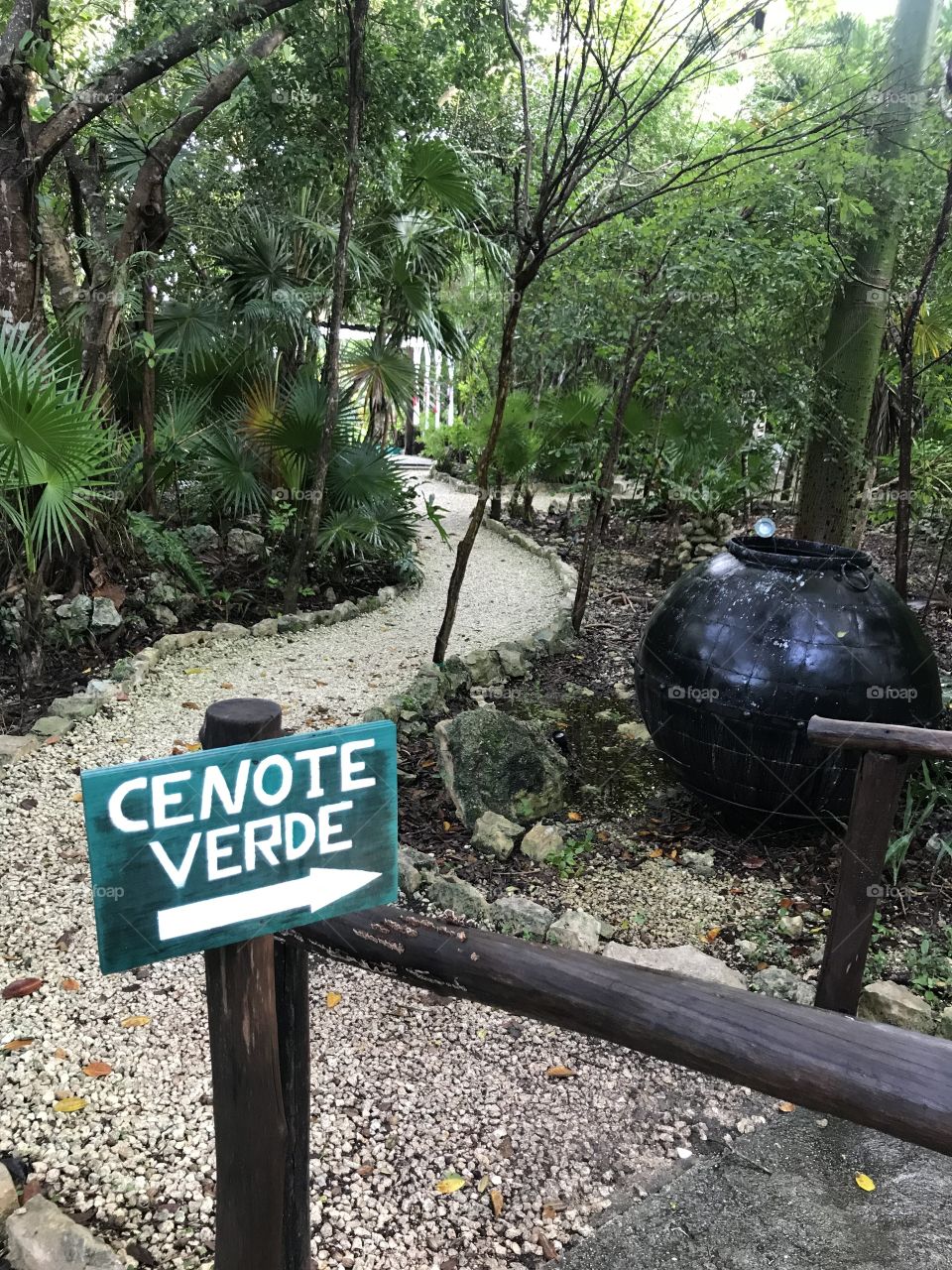 Cenote rivera Maya 