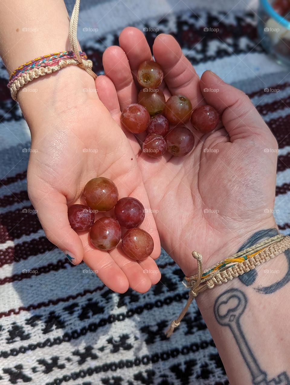 grapes in hands at a summer picnic at the park momma and daughters hands fresh fruit