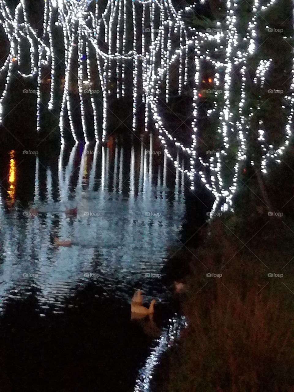 Lights reflected on the river