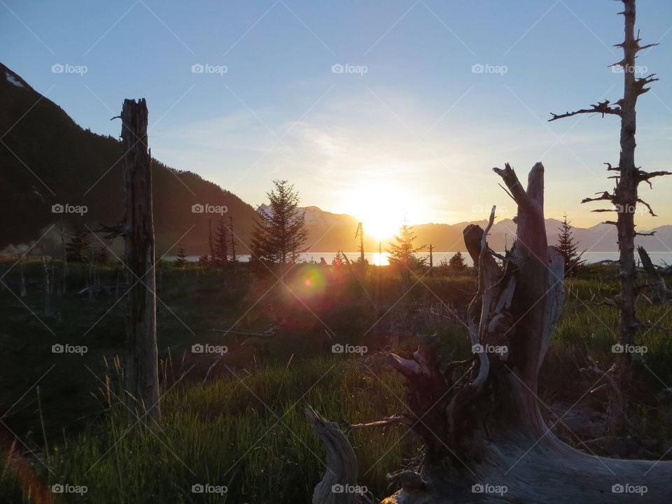 Kayaking in the beautiful state of Alaska!