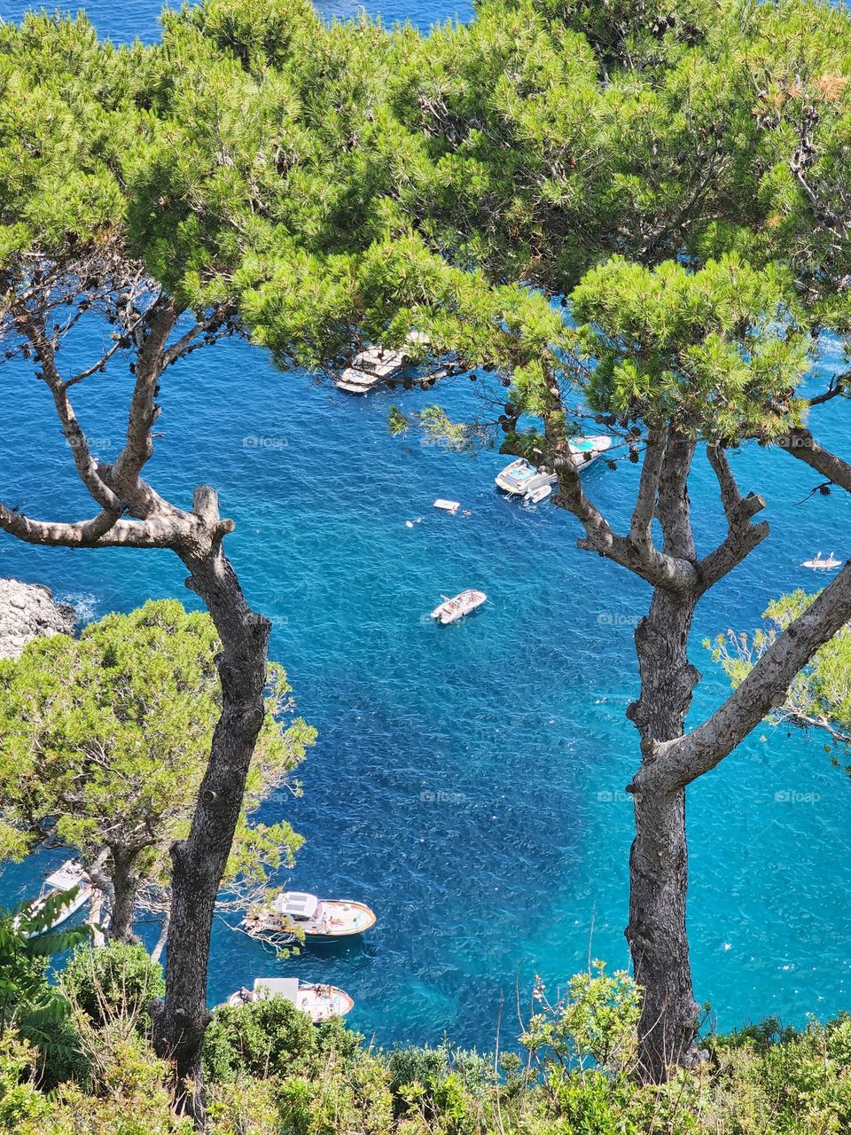 Capri, south Italy. A pont view on Capri's sea and trees