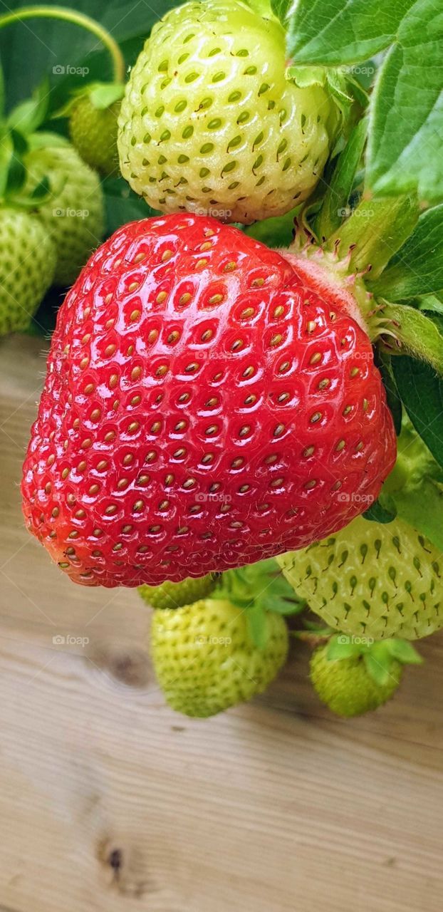 Strawberry