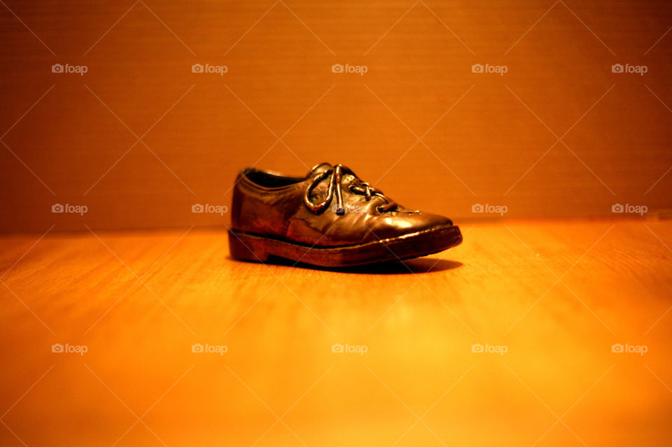 Bronze shoe