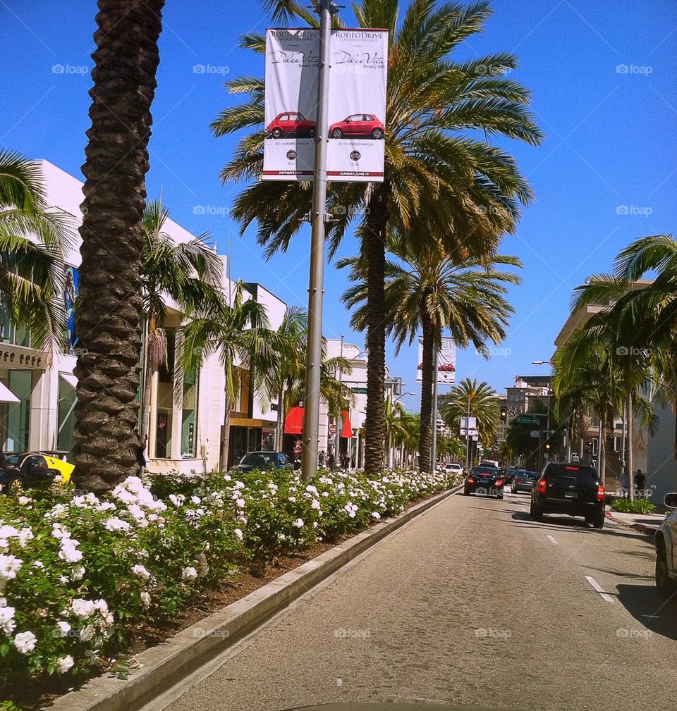 Rodeo Drive 