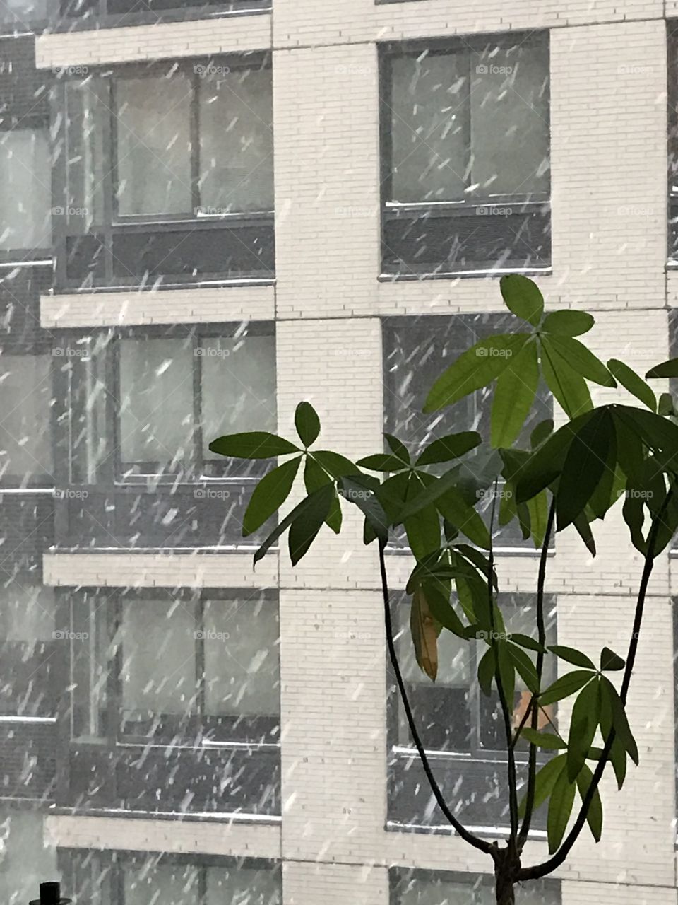 Snowstorm in NYC