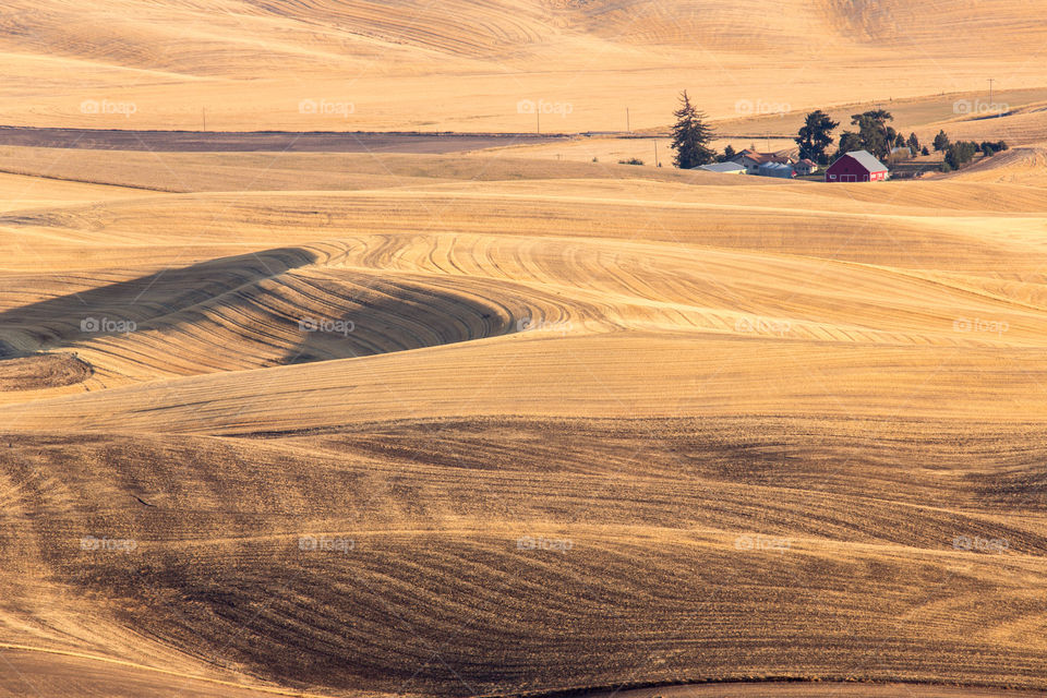 Palouse farm