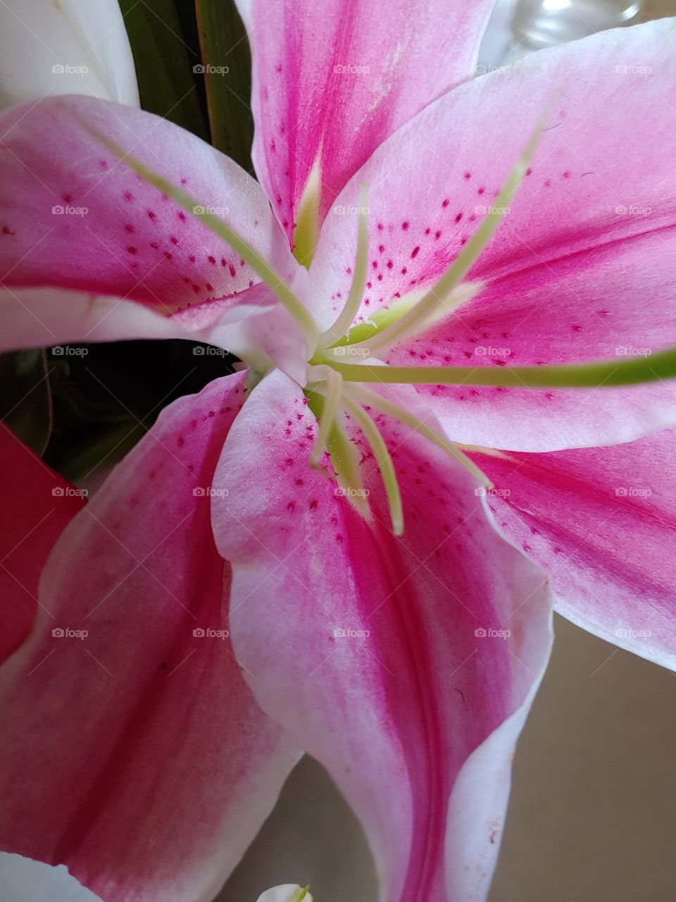 pink floral