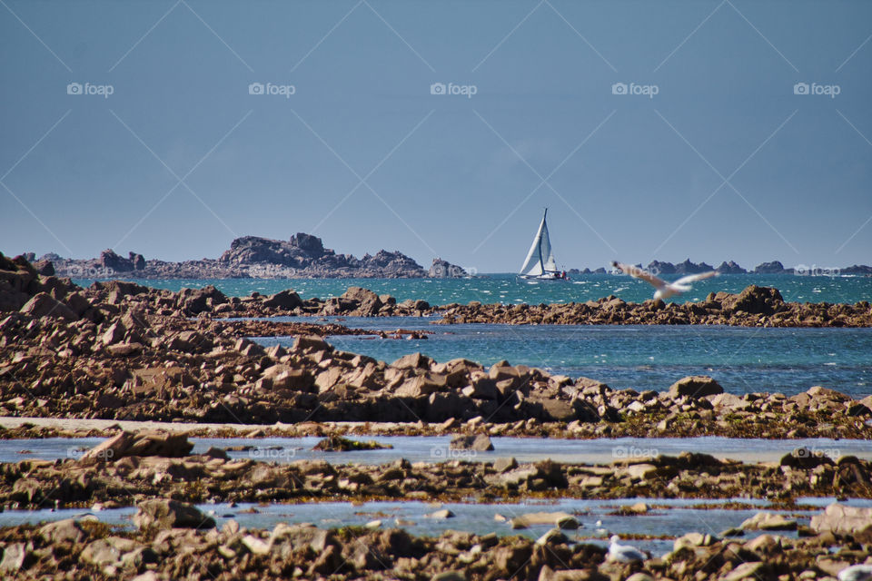 landscape with the sea