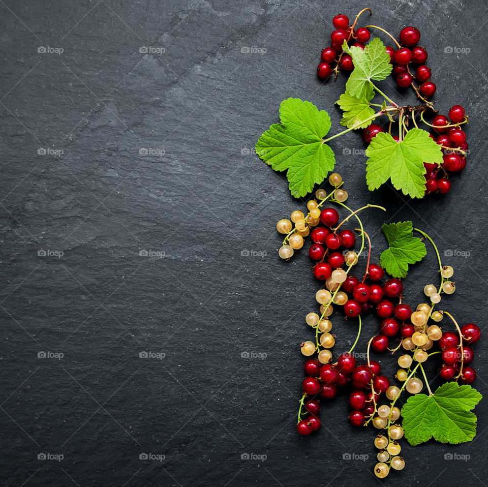 Red currant 