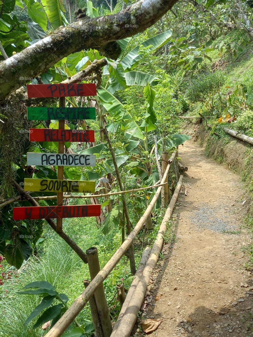 path in a beauriful landscape