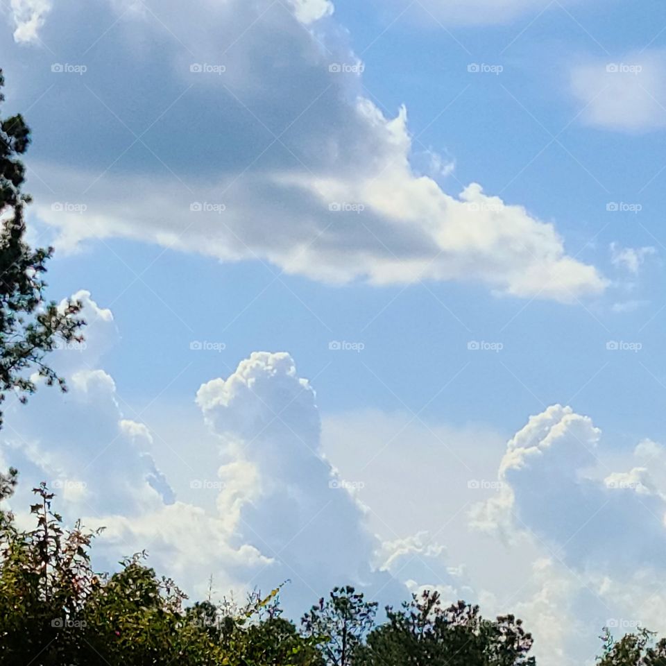 Cloud Dino and Bunny