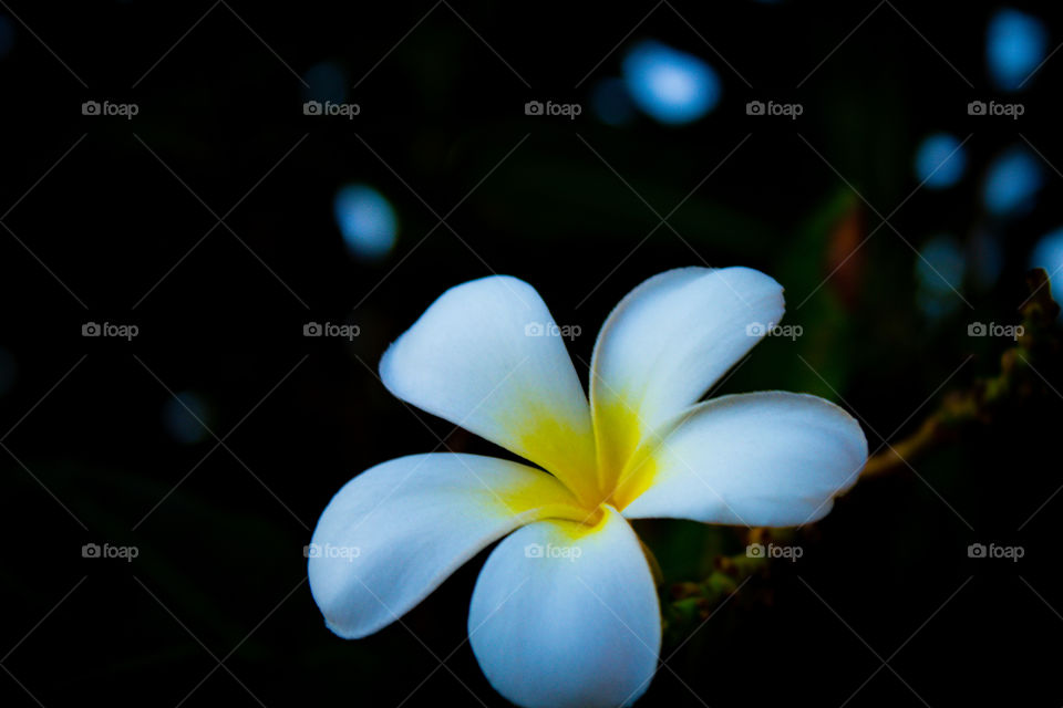 Natural color combination