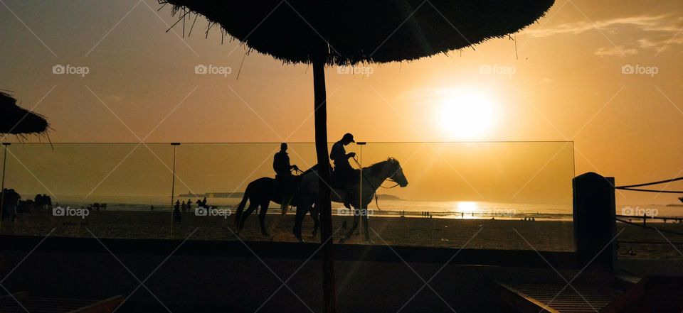 Nice trip near the beach on horseback at essaouira city in morocco.