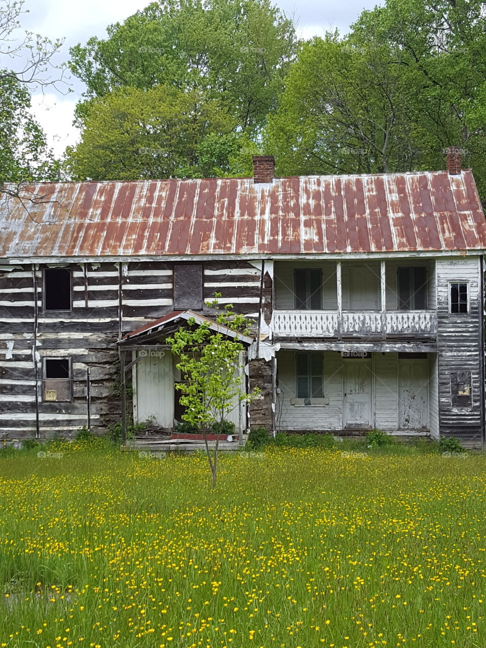 abandoned house