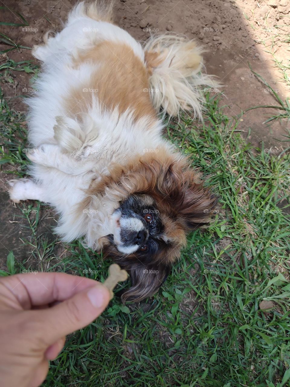 Full but still want more