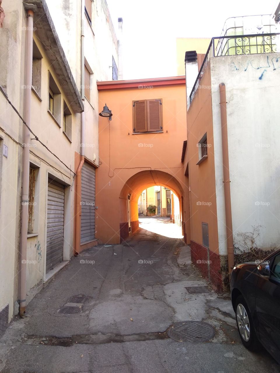 Editors' Choice: Photo of the Week