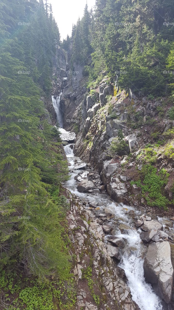 Mt Rainier stream