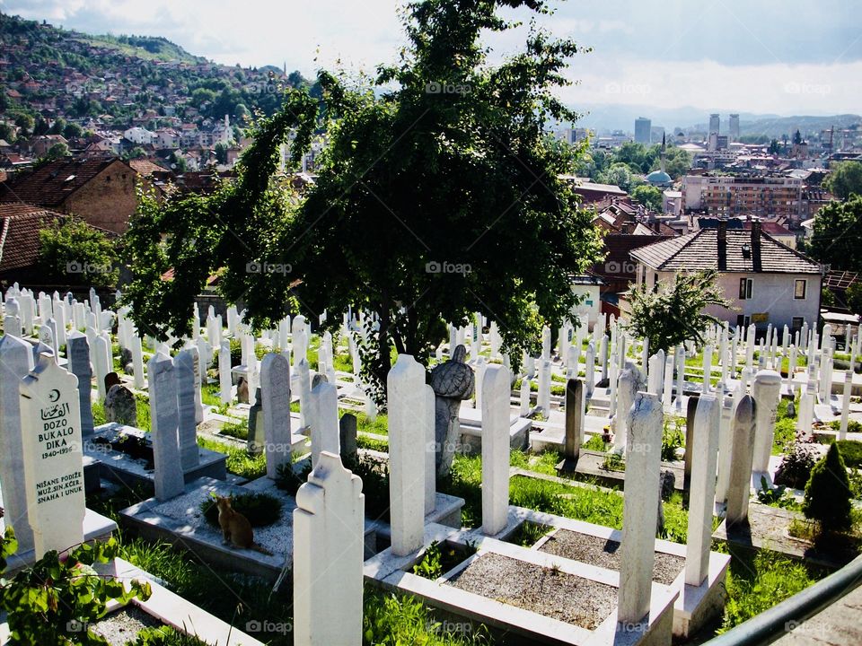A graveyard in the hill in Sarajevo