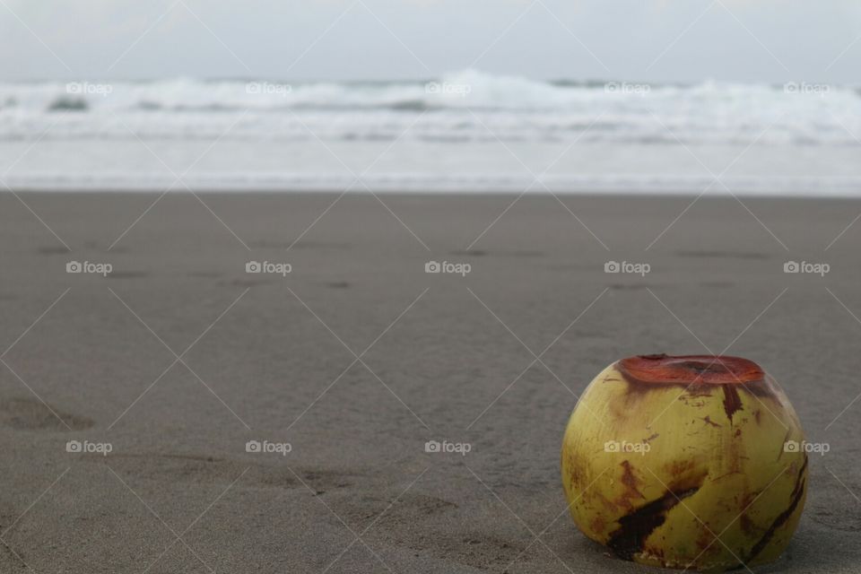 Buah kelapa di pinggir pantai