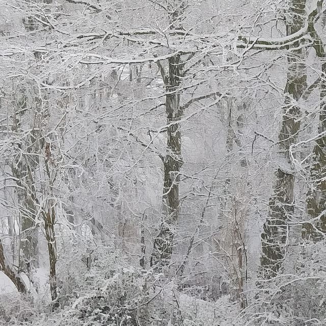 frost