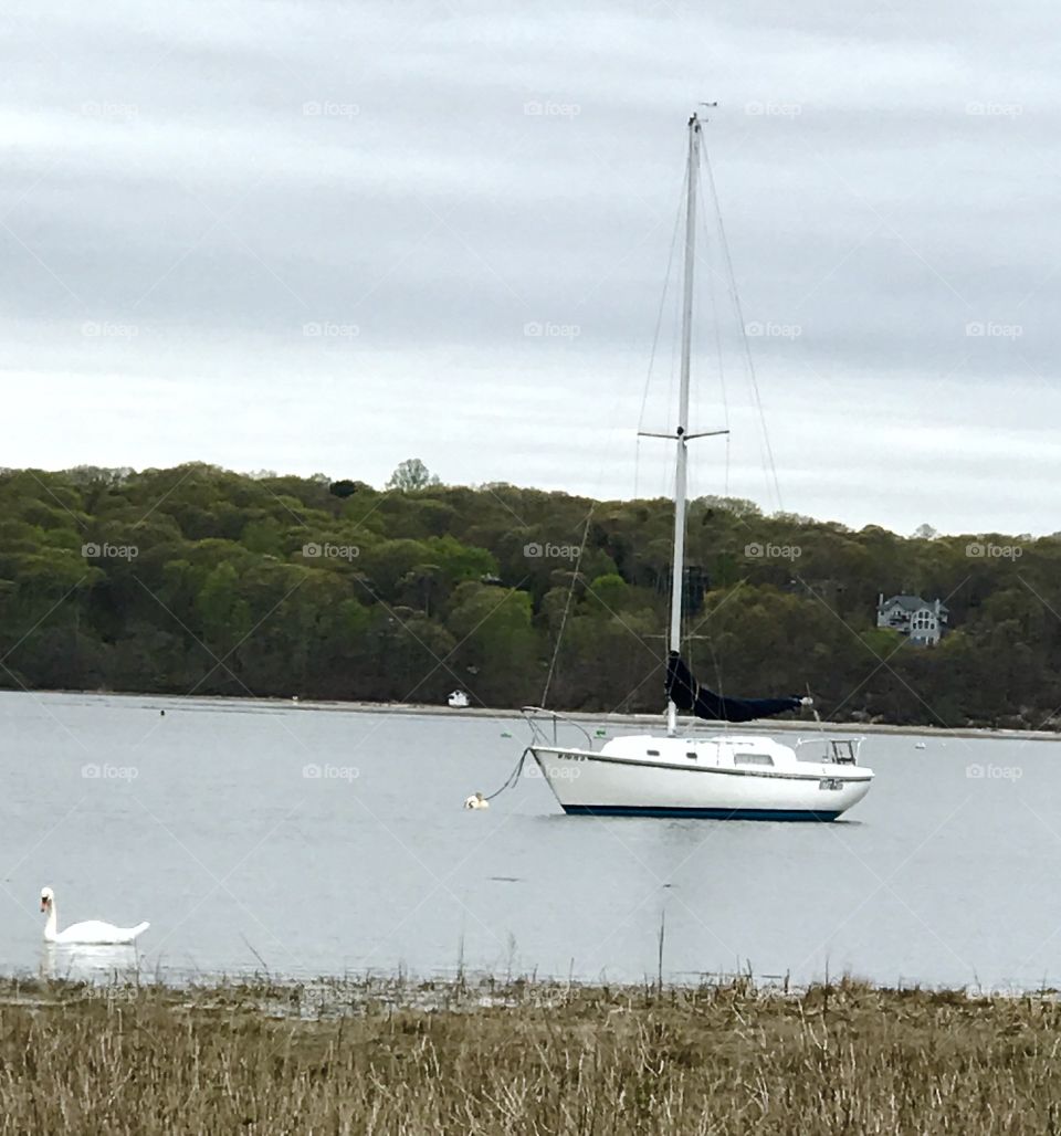 Lonely sailboat waiting for warm winds, Mount Sinai Harbor, Long Island, New York