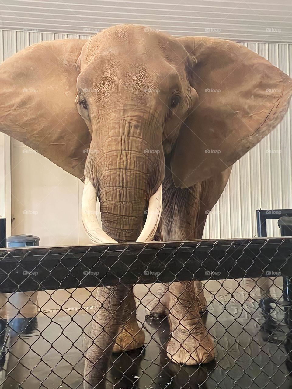 Met this gorgeous girl at Wilstem Ranch 