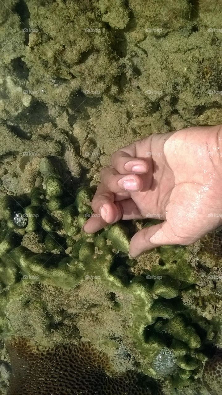 Play water on the beach filled with coral reefs.