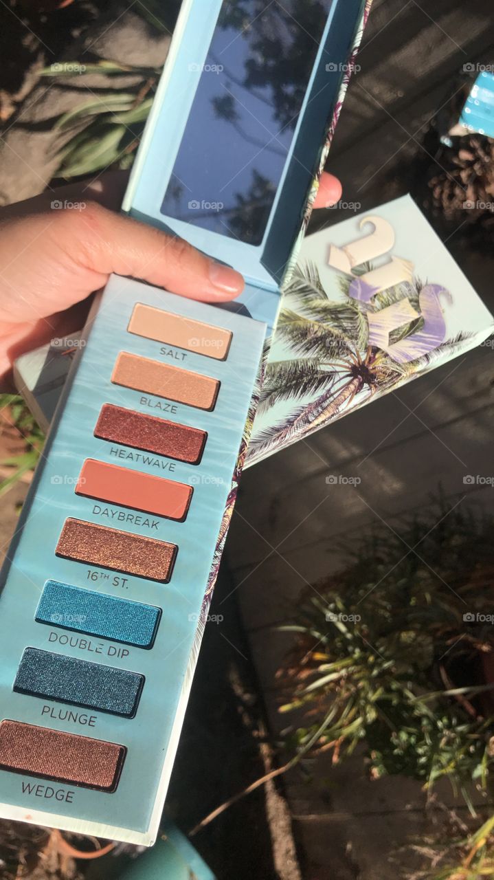 Beached palette by Urban Decay 