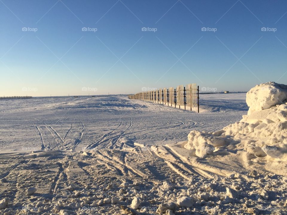 Arctic Snow Fence 