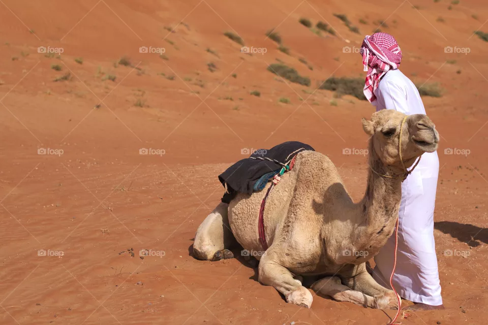 Bedouin