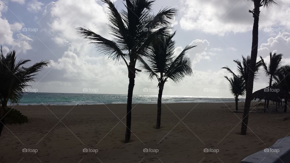 Perfect View. Punta Cana Beach Sunrise and palms