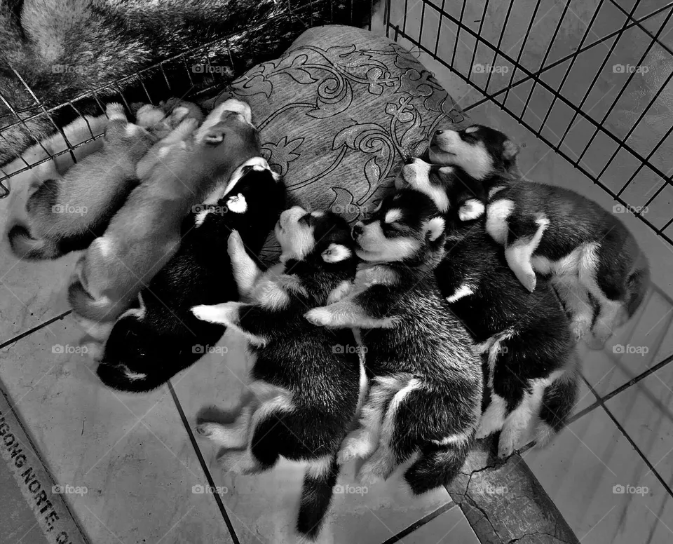 Lucky Seven🥰