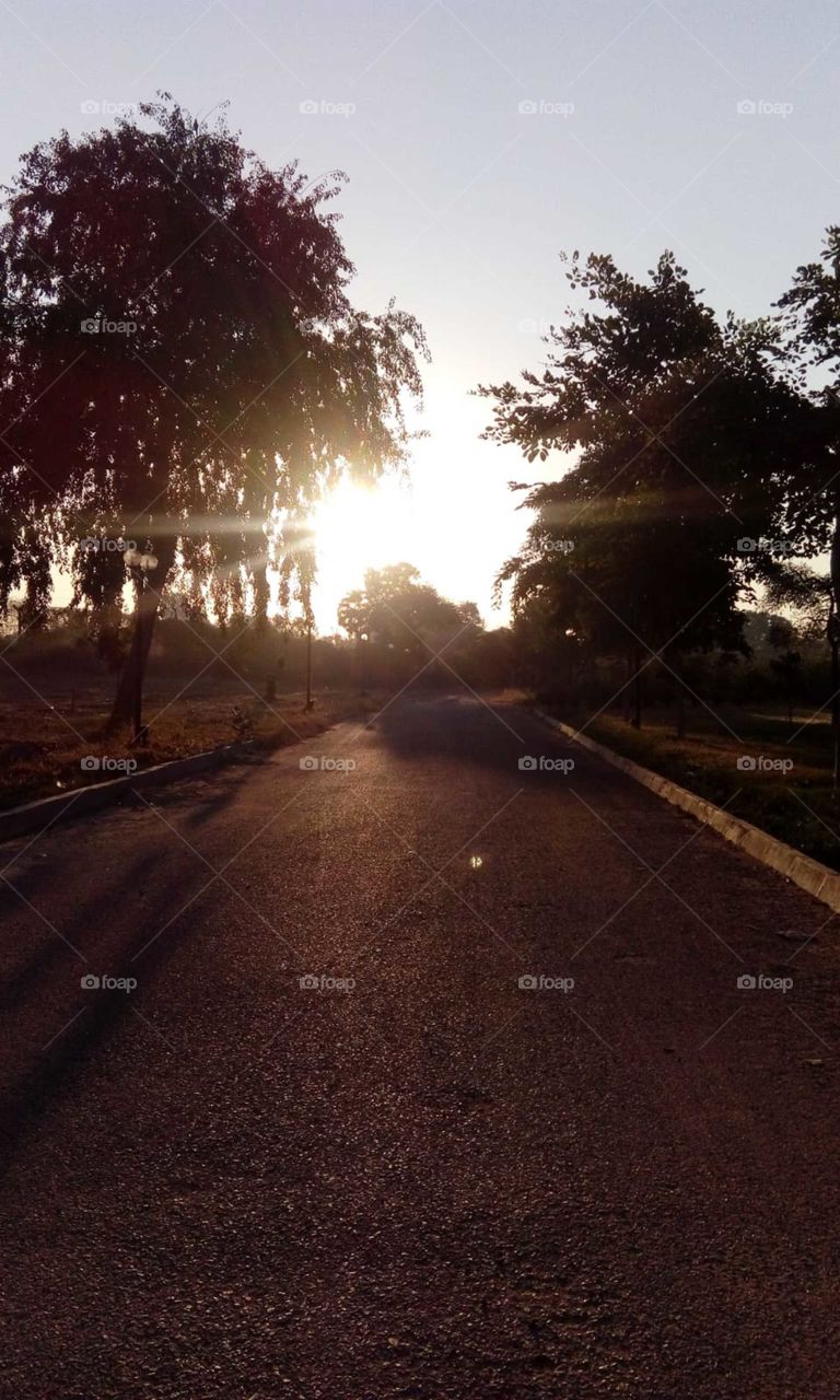 Enjoy the shiny summer