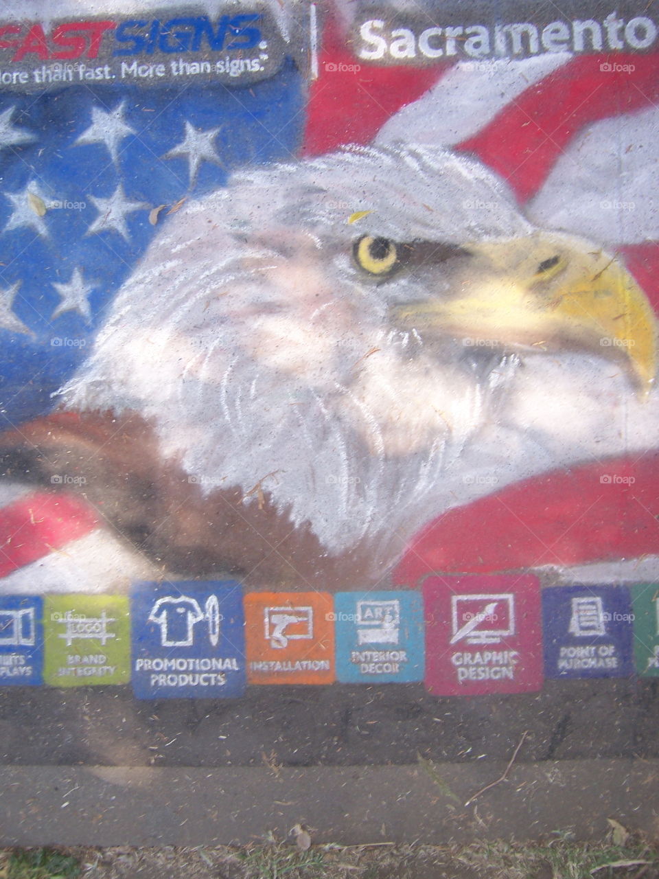 Outdoors, No Person, Horizontal, Fish, Nature