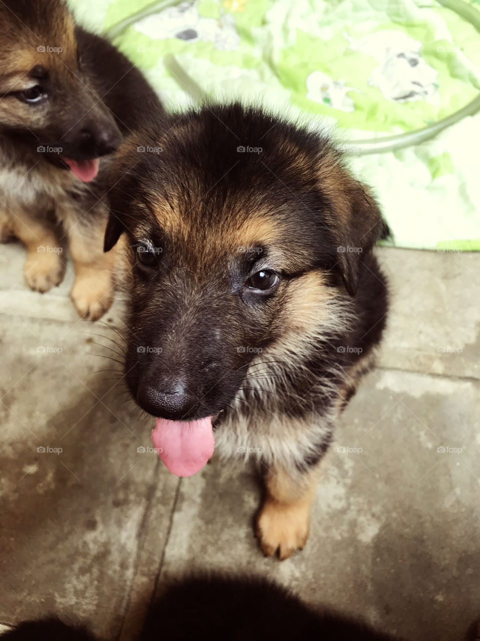 Hi, are you coming to take one if us or somthing? Yeah...h put me on the list and I won't let you down !