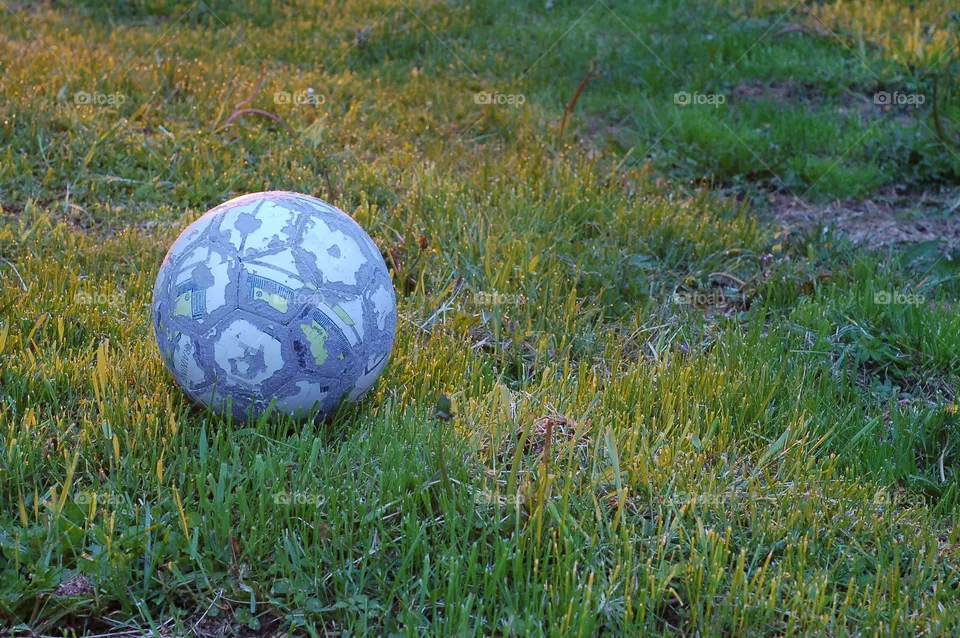ball
