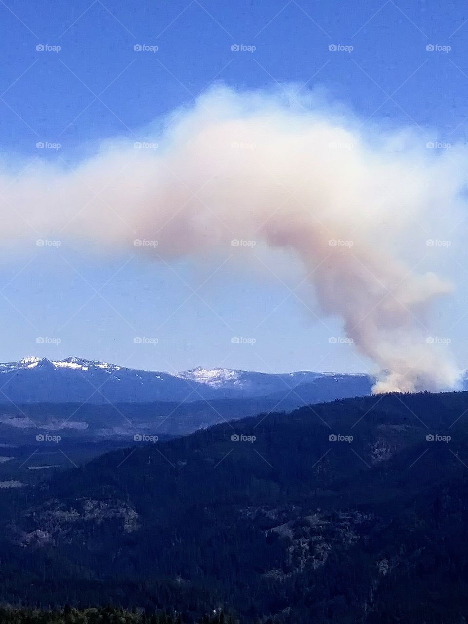Forest Fire in Oregon