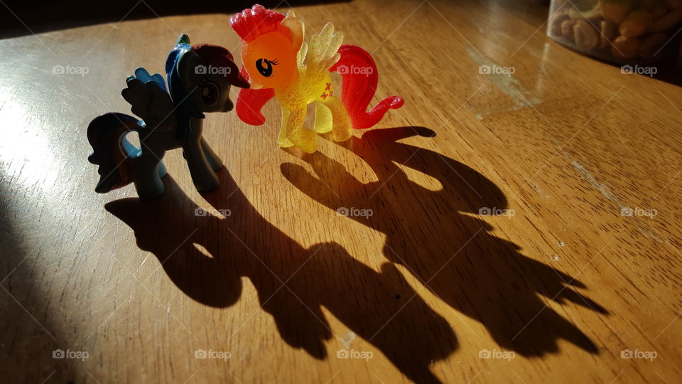 Pony and Shadow