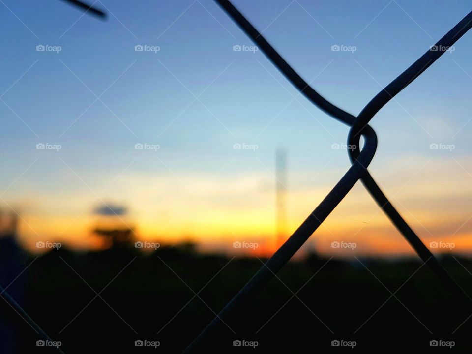 Wire Fence Silhouette